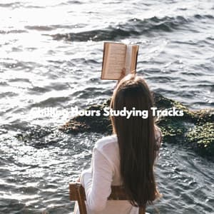 Chilling Hours Studying Tracks - Musique pour Travailler