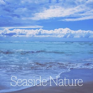 Seaside Nature – Relaxing Music with Seaside Sounds of Nature - Calm Sea Ambient