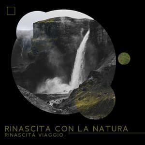 Rinascita con la natura - Rinascita viaggio: Lounge con suoni della natura, Trattamenti benessere, Spa e massaggi, Suoni rilassanti dell'acqua - Atmosfera Zen di Acqua Calma