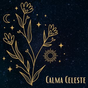 Calma Celeste - Rilassamento Mentale