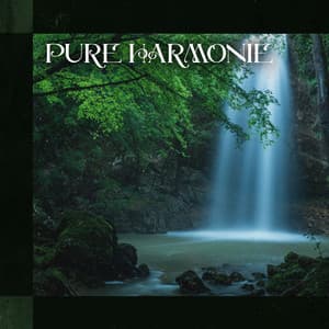 Pure harmonie: Ouvrez votre esprit à de nouvelles sensations de détente - Musique pour Détendre en Temps Libre