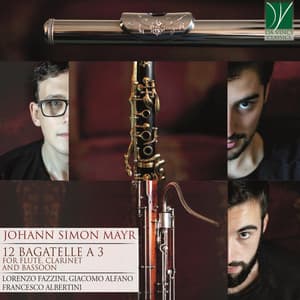 Johann Simon Mayr: 12 Bagatelle a 3 - Johann Simon Mayr
