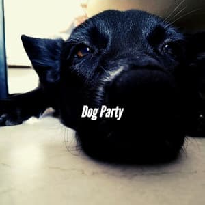 Dog Party - Calming Jazz For Dogs