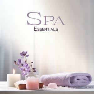 Therapeutic Escape Essentials - Daniel Shanti