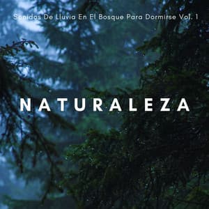 Naturaleza: Sonidos De Lluvia En El Bosque Para Dormirse Vol. 1 - Lluvia para un sueño profundo
