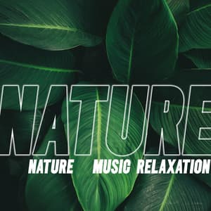 Nature: Music Relaxation, Feel Closeness, Calm Down and Find Peace - Forest Hills Music Universe