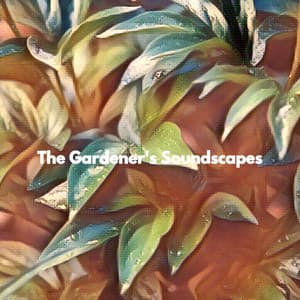 The Gardener's Soundscapes - Café Jazz Pompidou