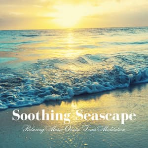 Soothing Seascape: Relaxing Music Ocean Focus Meditation - Relaxing Music