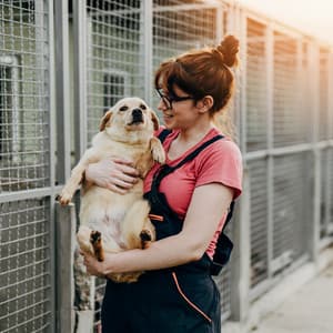 Pet Serenades: Lofi Music for Animal Comfort - Pets Total Relax