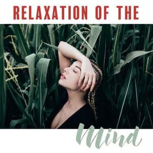 Relaxation of the Mind. Hear the Sounds of Pad, Drums and Nature - Native American Music Consort