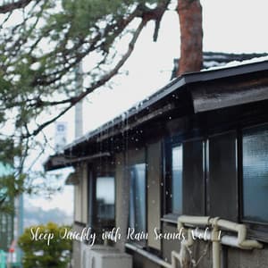Sleep Quickly with Rain Sounds Vol. 1 - Music for Sleeping Ensemble