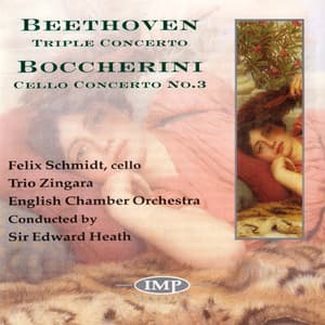 Beethoven/Boccherini: Triple Concerto - Trio Zingara