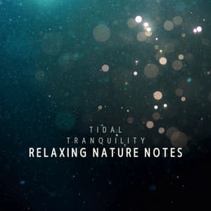 Tidal Tranquility: Relaxing Nature Notes - Peaceful Nature Sounds