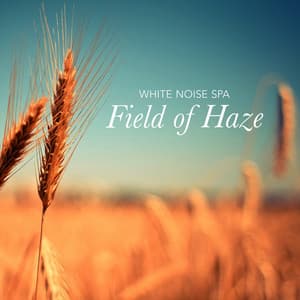 Field of Haze - White Noise Spa