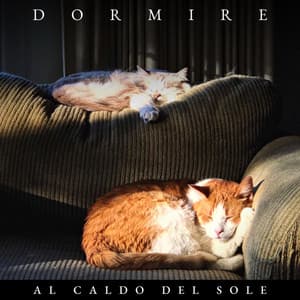 Dormire al Caldo del Sole - Suoni per Dormire