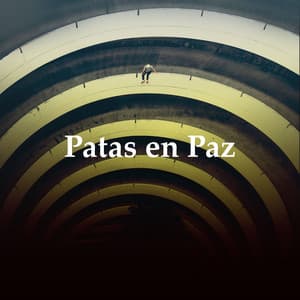Patas en Paz - Música para dormir Gatos