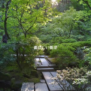 喜ばしい新芽 - Paris Cafe Jazz