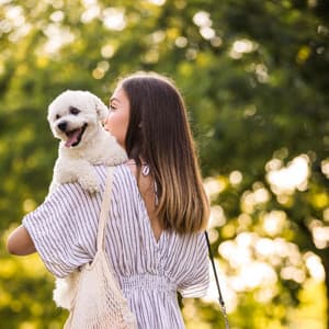 Piano Rain's Tranquil Pet Retreat - Tranquil Piano
