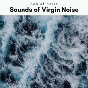2 0 2 2 Sounds of Virgin Noise - Sea of Noise