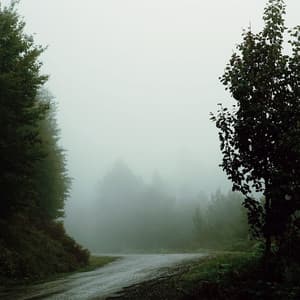 Delightful Melodies for Mind Calmness - Sounds Of Nature