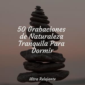 50 Grabaciones de Naturaleza Tranquila Para Dormir - Meditação Zen