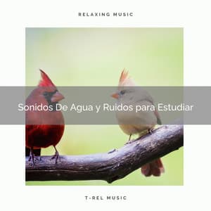 Sonidos De Agua y Ruidos para Estudiar - Ruido Blanco