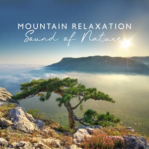 Mountain Relaxation: Sound of Nature, Flow of River, Stream, Waterfall, Beautiful Music for Stress Relief and Sleeping - Universe of Nature Orchestra