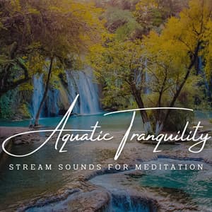 Aquatic Tranquility: Stream Sounds for Meditation - Sea Waves Sounds