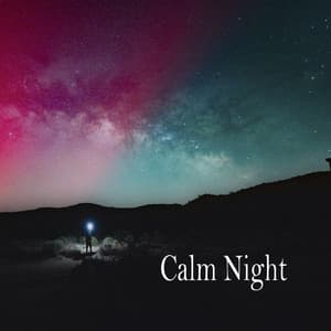 Calm Night - Relaxing Music