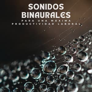 Sonidos binaurales para una máxima productividad laboral - Latidos binaurales Soledad