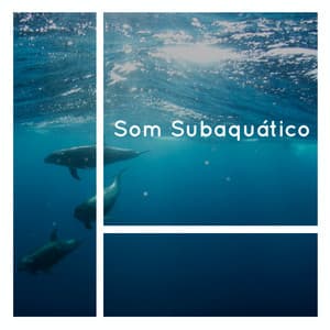 Som Subaquático - Medicina Relaxante