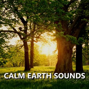 Calm Earth Sounds - Earth Sounds