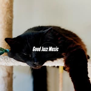 Good Jazz Music - Jazz Classico