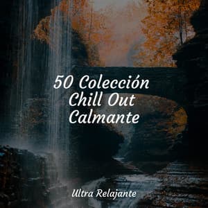 50 Colección Chill Out Calmante - Dormir Mucho