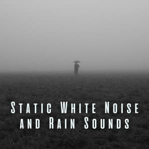 Static White Noise and Rain Sounds - Rain Sounds & Nature Sounds
