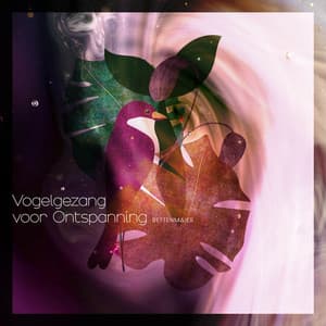 Vogelgezang voor Ontspanning - Rettenmaier