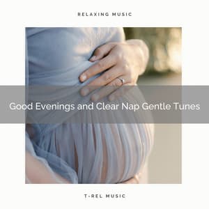 1 Good Evenings and Clear Nap Gentle Tunes - Womb Sound