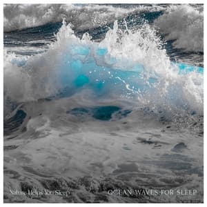 Ocean Waves For Sleep - Nature Helps You Sleep