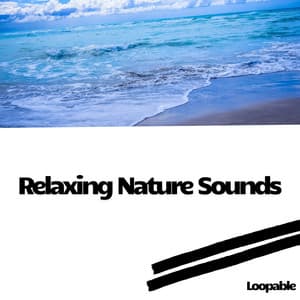 Relaxing Nature Sounds: Ocean and White Noise, Loopable - Ocean Waves Channel