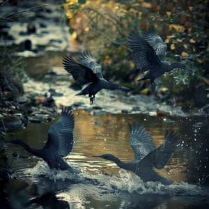 Baby’s Binaural Birds: Gentle Sounds for Calm - Well Ness