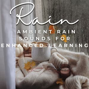 Raindrop Study Zone: Ambient Rain Sounds for Enhanced Learning - Acoustic Study Music Beats