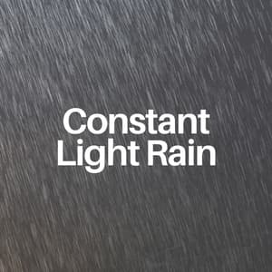 Constant Light Rain - Rain Lullaby