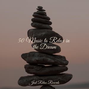 50 Music to Relax in the Dream - Exam Study Classical Music