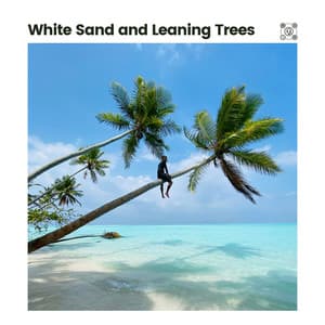 White Sand and Leaning Trees - Relaxing Ocean Sounds