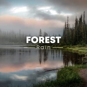 Forest Rain - Spa Music