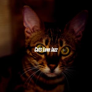 Cats Love Jazz - Fresh Jazz Cuts