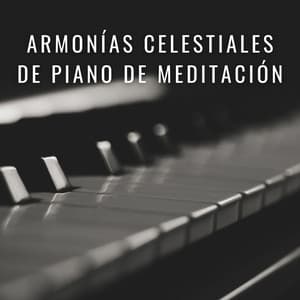 Armonías Celestiales De Piano De Meditación - Experiencia de piano y olas del océano