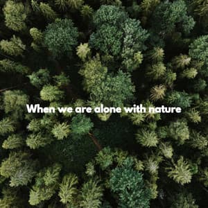 When we are alone with nature - Happy Dinner Music