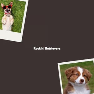 Rockin' Retrievers - Restaurante Jazz