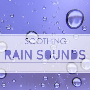 Soothing Rain Sounds - Natural Sound of Nature Music for Sleep Ambience - Lucy Blacktop